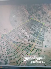  2 قطعة ارض للبيع محافظة الزرقاء بيرين العويليه مساحة 9 دونمات على القوشان