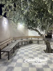  10 مزرعة الطيب