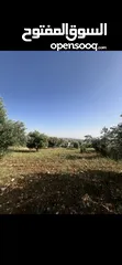  4 قطعة ارض سكنية مطلة في بدر