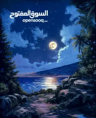  1 شقة للايجار مفروشة رفيدية