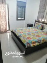  8 شقه للايجار مفروشه في الارسال خلف مفروشات الرونق الايجار دون وسيط مباشرة 2000ش