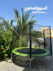  1 back yard trampoline