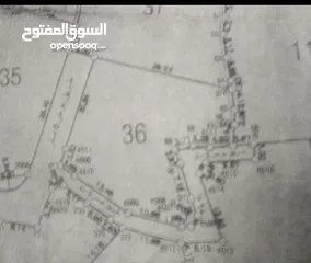  2 قطعة ارض للبيع في الشعابة    بسعر مغري على الكاش