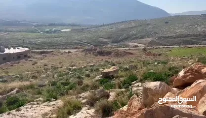 1 ارض للبيع في طلوزه