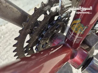  12 دراجه هوائية نوع Mangoos حجم 26 لأشخاص 175سم فما فوق
