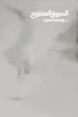  3 شقة للايجار