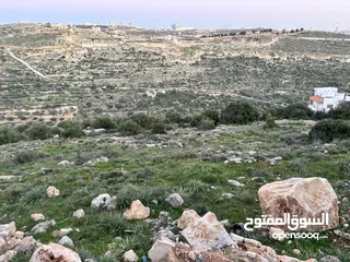  2 ارض للبيع - تصنيف سكني - مقابل الريحان - وبسعر مغري جدا