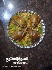  15 فر ديوك زغاليل بط