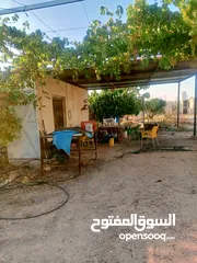  21 بيت مستقل تقريبا مزرعه مشيكه كامله مزروعع عنب وحمضيات مساحه البناء 160م وغرفه خارجيه 40م الواقع احلا