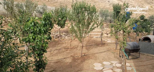  13 فيلا للبيع طبربور