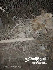  6 تشكيلة حطب للبيع