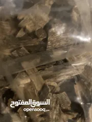  3 عود تراد طبيعي من الغابات على ااحدود الكمبودية