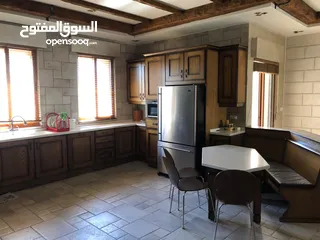  20 فيلا مفروشه للايجار في عبدون ( Property 40254 )-175089630