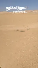 8 أرض للبيع في أجمل مناطق جنوب عمان