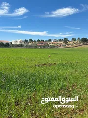  1 للبيع منبسطه واصل الخدمات اطلاله رائعة منطقة مزارع وشاليهات فخمه.