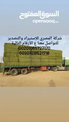  4 برسيم حجازي مصري  للتصدير
