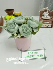  3 Affordable Prices in Al Hail  Home Decoration Kitchen Utensil Women Accesorries