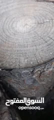  4 اخشاب للجزارين