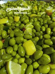  1 زيتون أخضر بلدي جبال جرش
