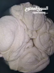  20 طعام تواصي بيتي