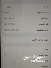  4 ايباد ميني 4