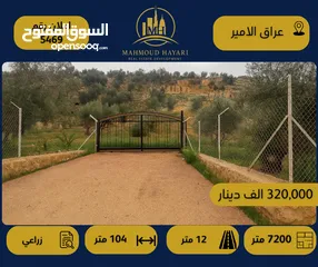  1 إعلان رقم: (5469) مزرعة مميزة للبيع في اجمل مناطق عراق الأمير _ إطلالة بانورامية غربية خلابة