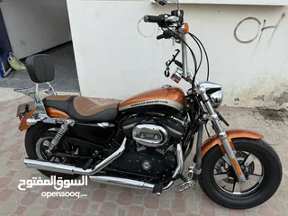  1 Harley Davidson Sportster Custom 1200