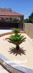  4 صيانة منازل وحدائق