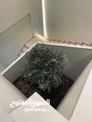  3 محل تجاري للبيع خلو