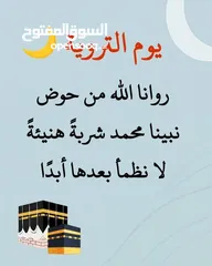  1 صيصان للبيع