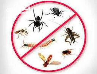  6 محاربة جميع  أنواع الحشرات و القوارض