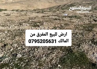  1 ارض للبيع 5 دونم كوشان مشترك شخصين المفرق الأشرفية البادية الشمالية حوض الغرابي الشرقي