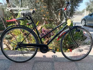  1 بسكليت.   ظظنتن