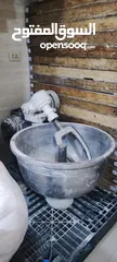  1 عجانة توب التوب