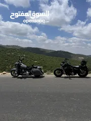  7 harley davidson sportster 1200