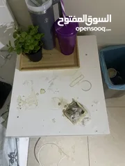  2 كومدينا عند الرأس من أكيا استعمال 7 شهور يحتاج لها تنضيف فقط ومبخره عالقه