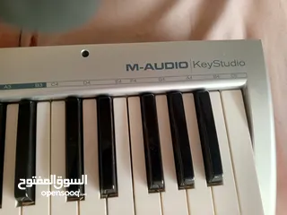  2 موجود كيتار بحالة الوكالة