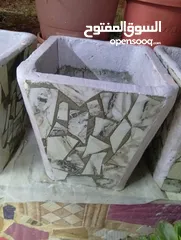  9 احواض زريعه اسمنتيه قابله للبدل على طيور
