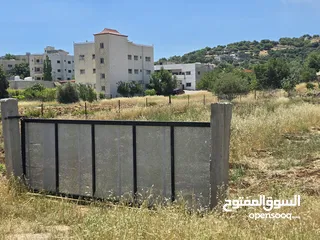  7 ارض للبيع في عبين السعر كامل القطعه