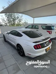  4 Ford Mustang GT 5.0 V8, White