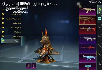  12 بيع حساب ببجي