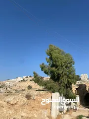  5 قطعة أرض طابو للبيع