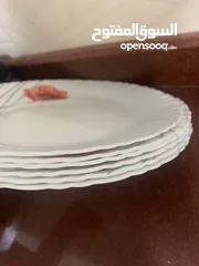  5 porcelain plate for 6 people