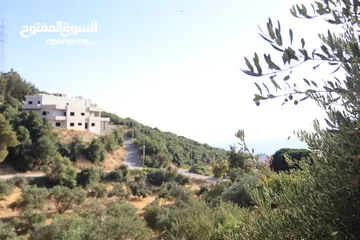  10 ارض للبيع ماحص مساحة 760م  اطلاله عاليه بالقرب من بدر الجديده تبعد عن اشاره النسر 10دقائق منطقه فلل
