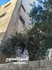  17 عماره كامله للبيع (مؤجرة ) قريبه من جميع الخدمات