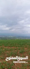  1 قطعه ارض للبيع في الشونه الشماليه طبقه فحل 8دنمات بقوشان مشترك من اصل 32 دونم