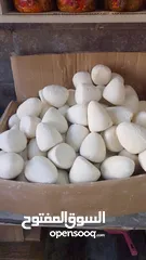  9 جميد بلدي جميد كركي سمنه بلدي جبنة غنم