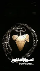  6 Italian silver necklace with wire wrapped ancient shark tooth fossil + free leather rope