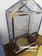  3 مطير ببغاوات حديد تفصيل