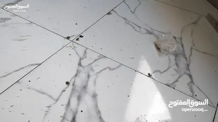  3 بليط جميع أنواع البلاط